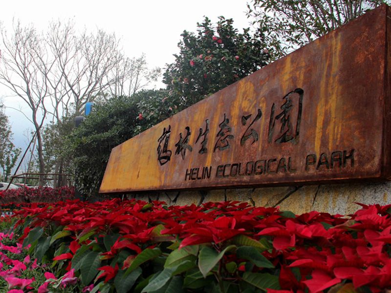 福州夜跑族福利！酷炫的熒光跑道動(dòng)建！位于鶴林生態(tài)公園